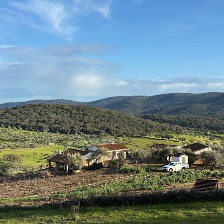 Casas Rurales Los Llanos Fuentes de León Kültér fotó