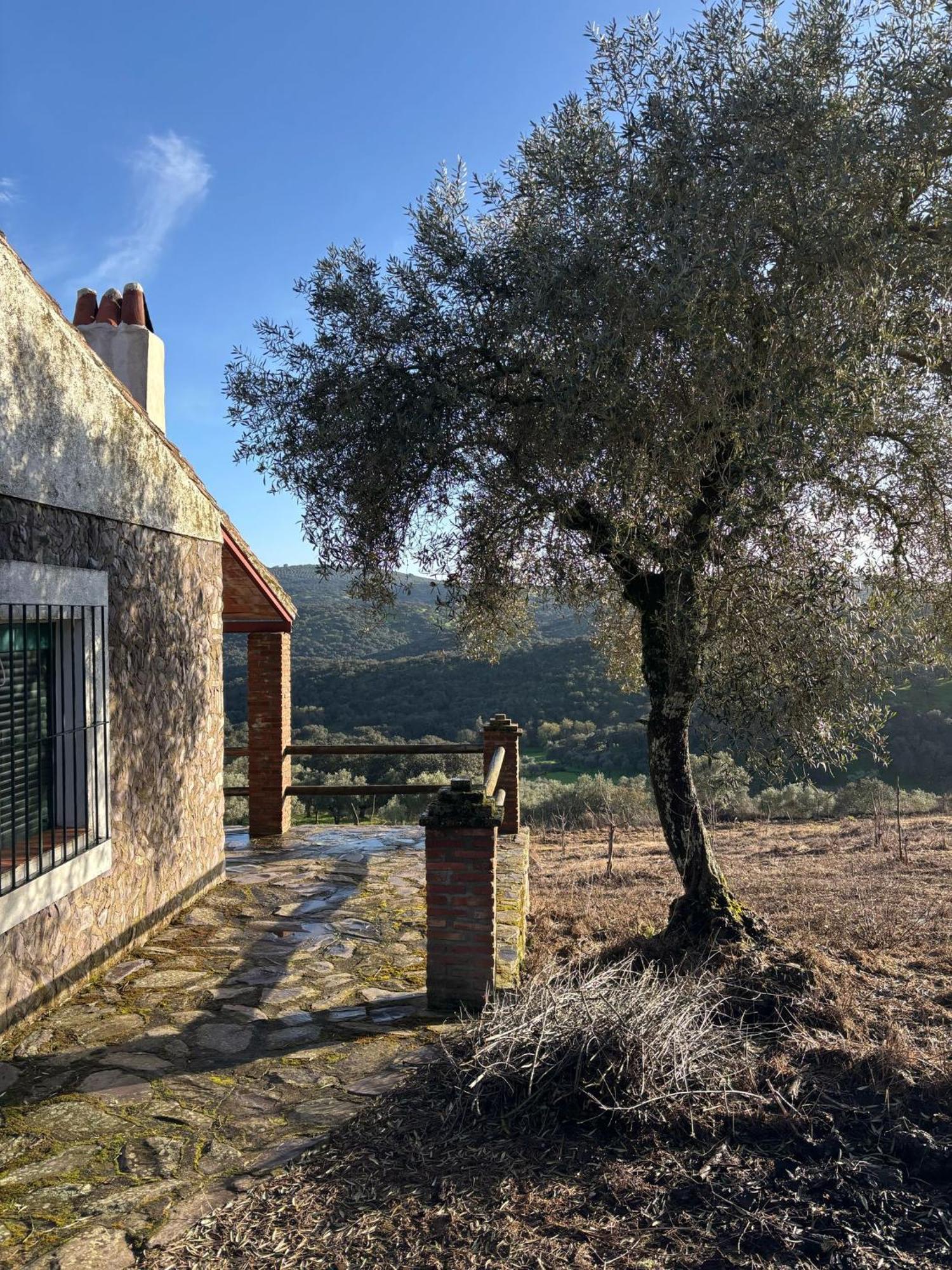 Casas Rurales Los Llanos Fuentes de León Kültér fotó