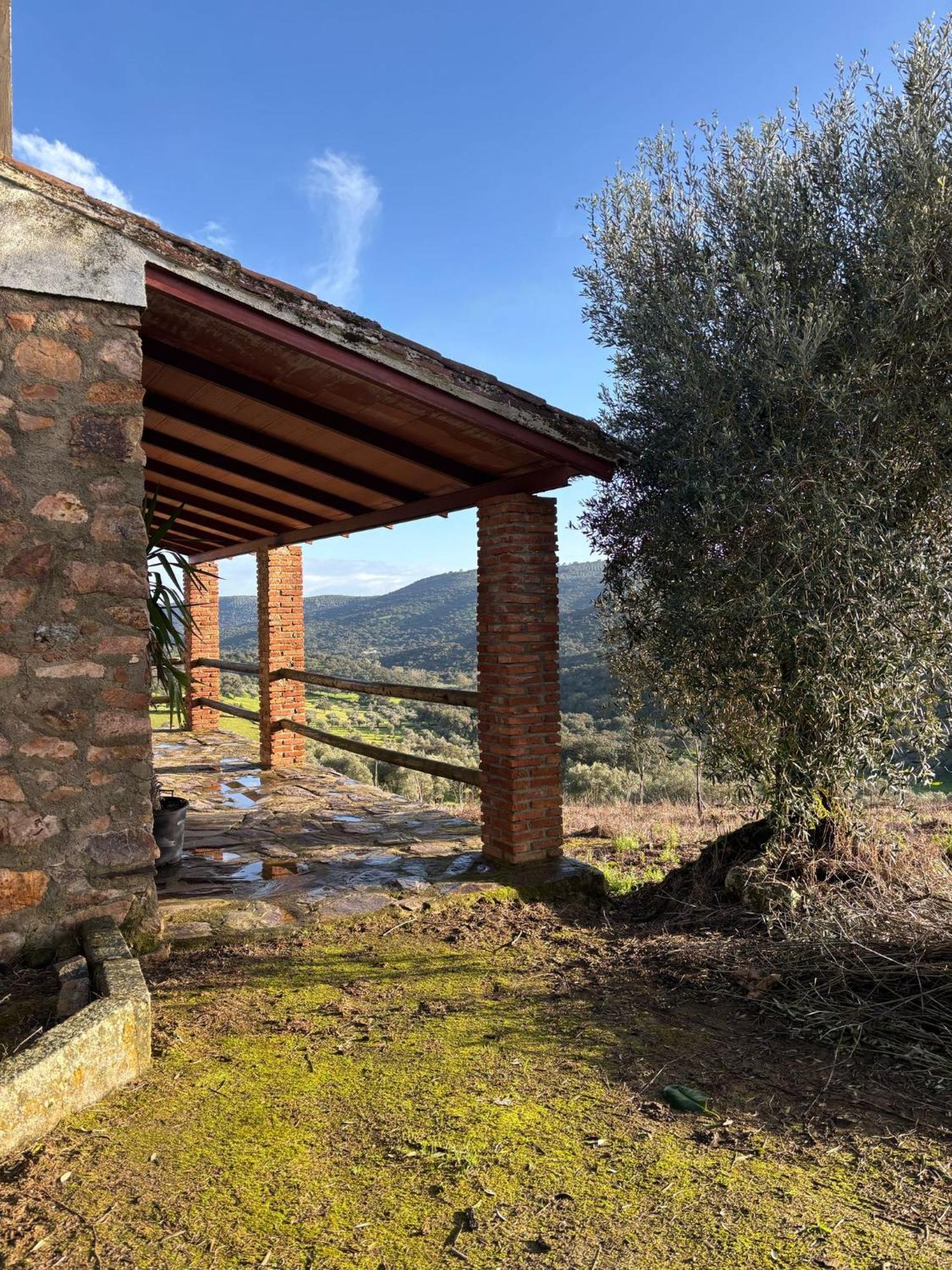 Casas Rurales Los Llanos Fuentes de León Kültér fotó