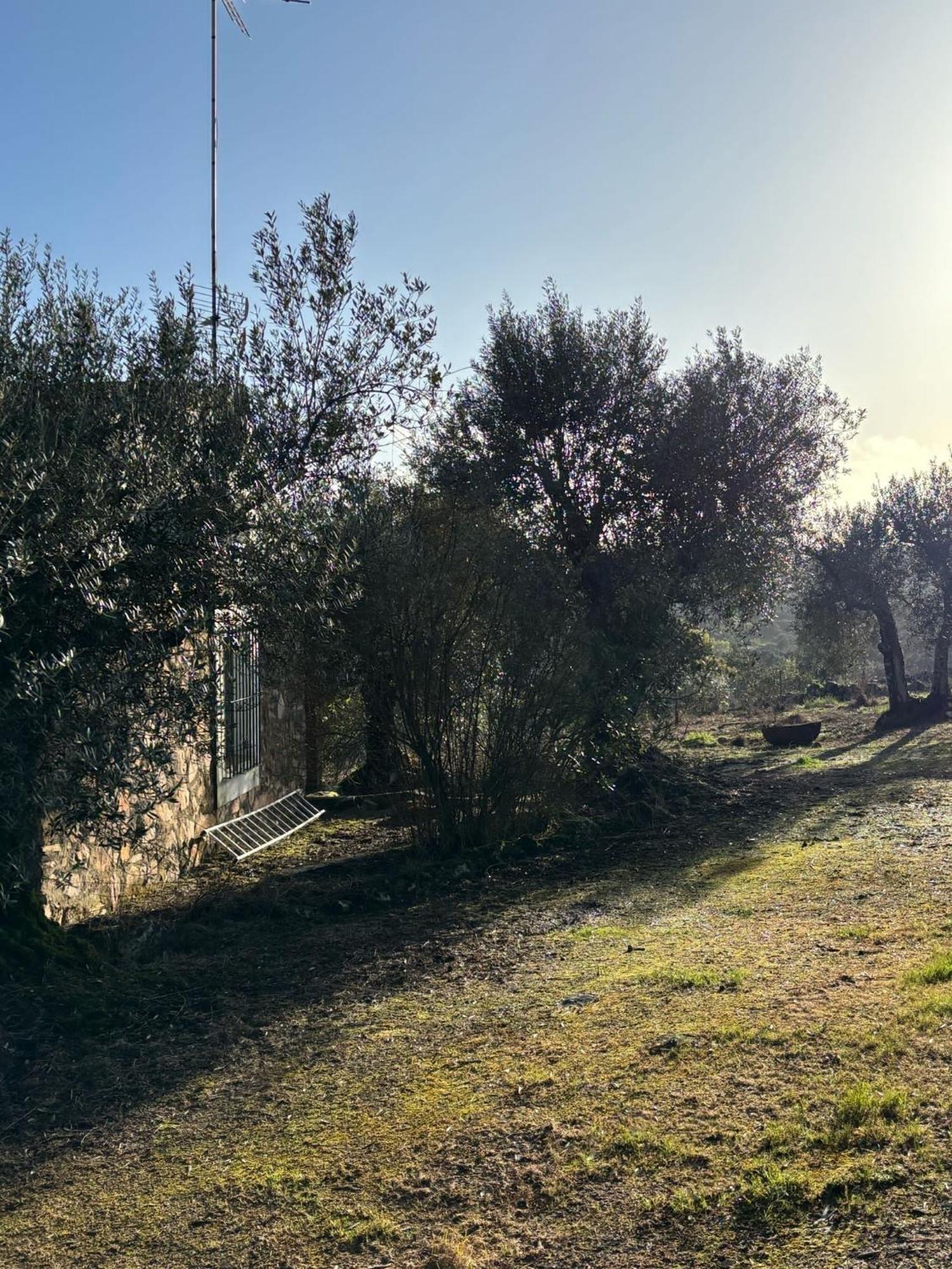 Casas Rurales Los Llanos Fuentes de León Kültér fotó