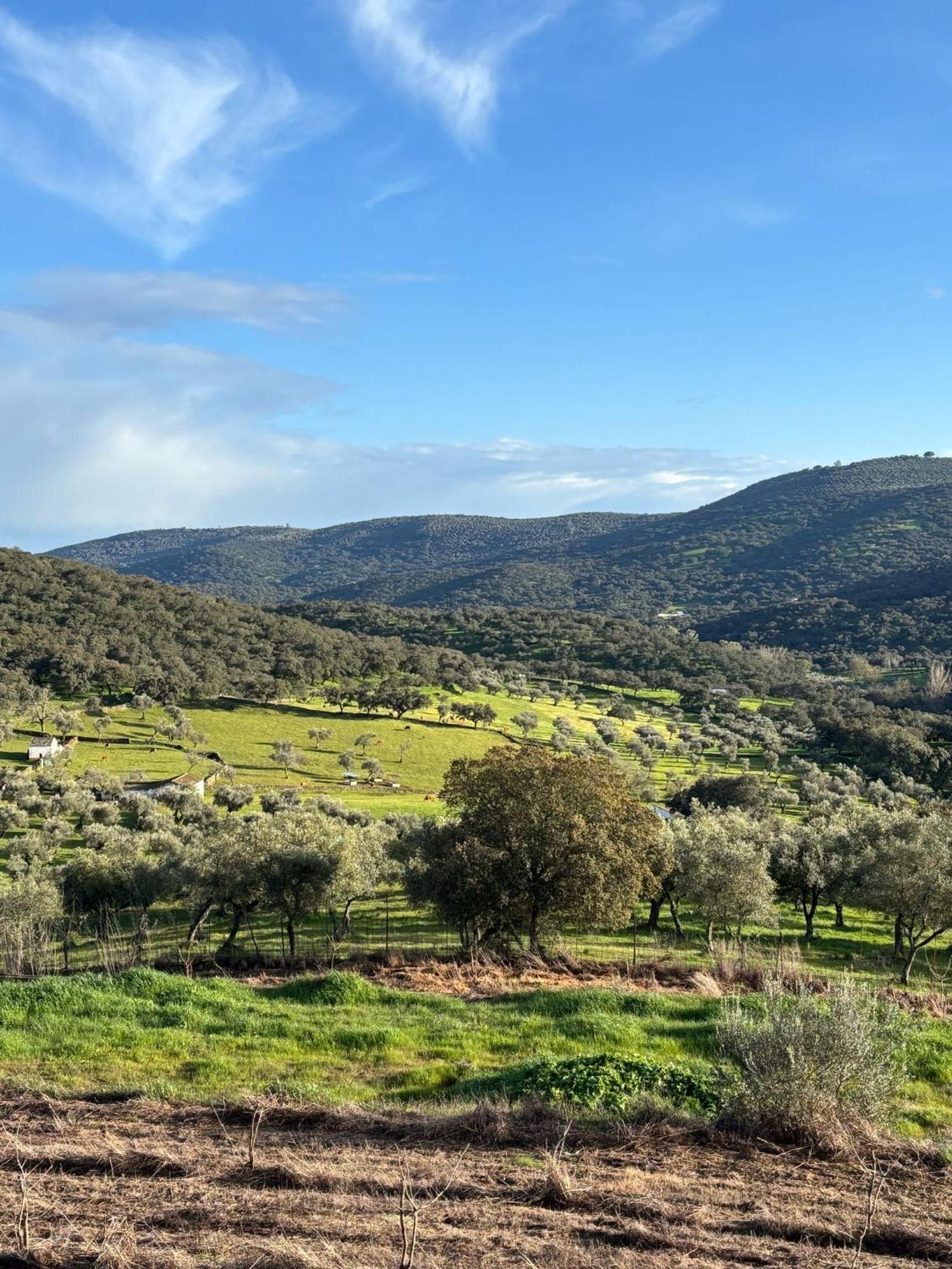 Casas Rurales Los Llanos Fuentes de León Kültér fotó