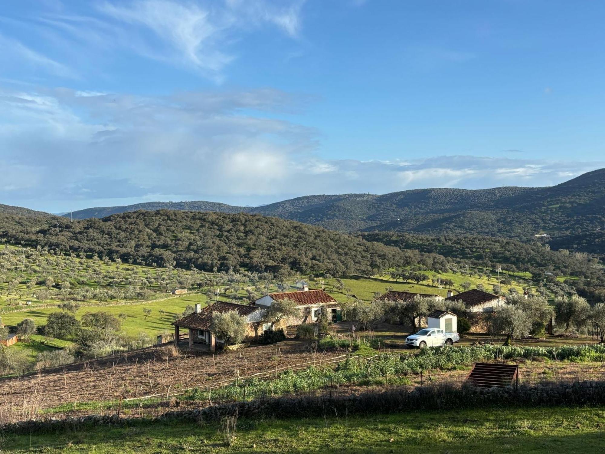 Casas Rurales Los Llanos Fuentes de León Kültér fotó
